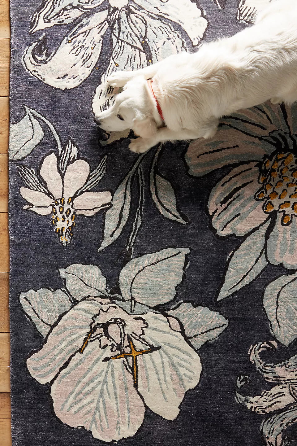 Nocturnal Bloom Carpet & Rug