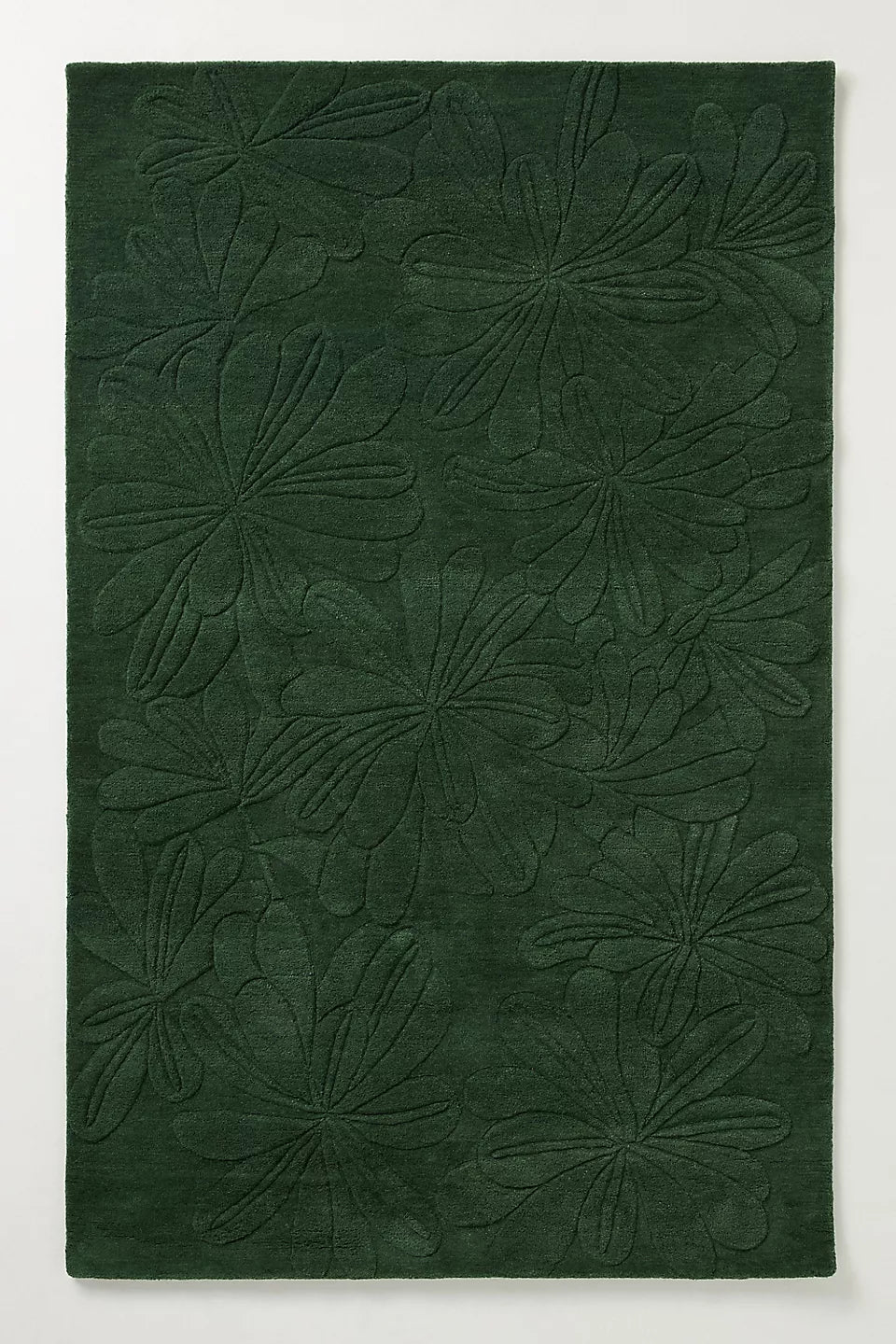 Sculpted Daisy Green Carpet & Rug