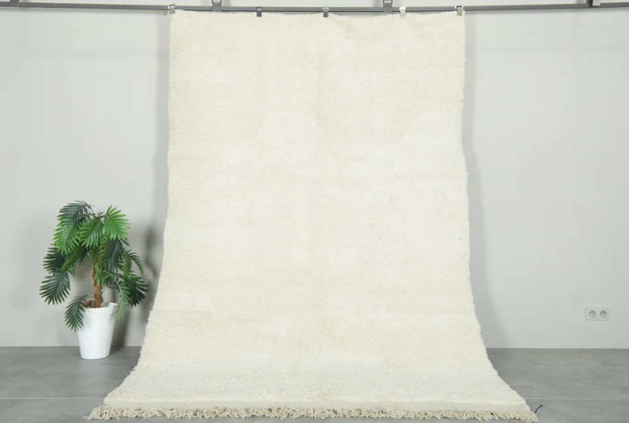 Infinty Hand Knotted Carpet & Rugs