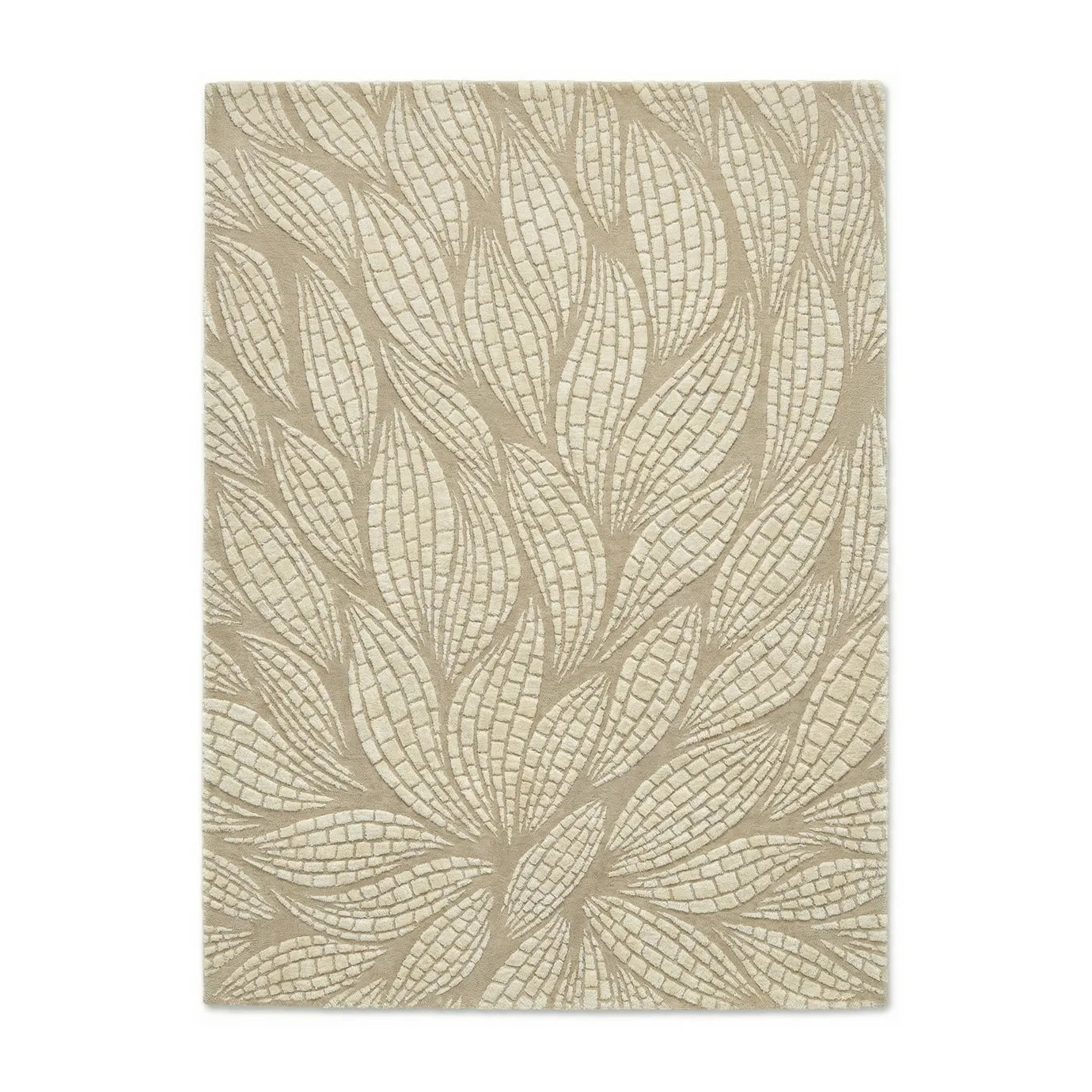 Odessa Carved Carpet & Rug