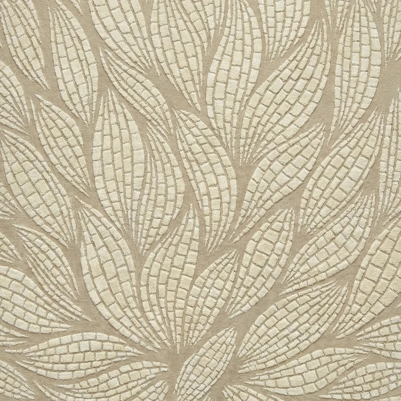 Odessa Carved Carpet & Rug